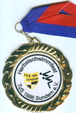 E 505 Goldfarben 70mm Folien-Emblem