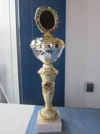 Pokal Bicolor 37cm